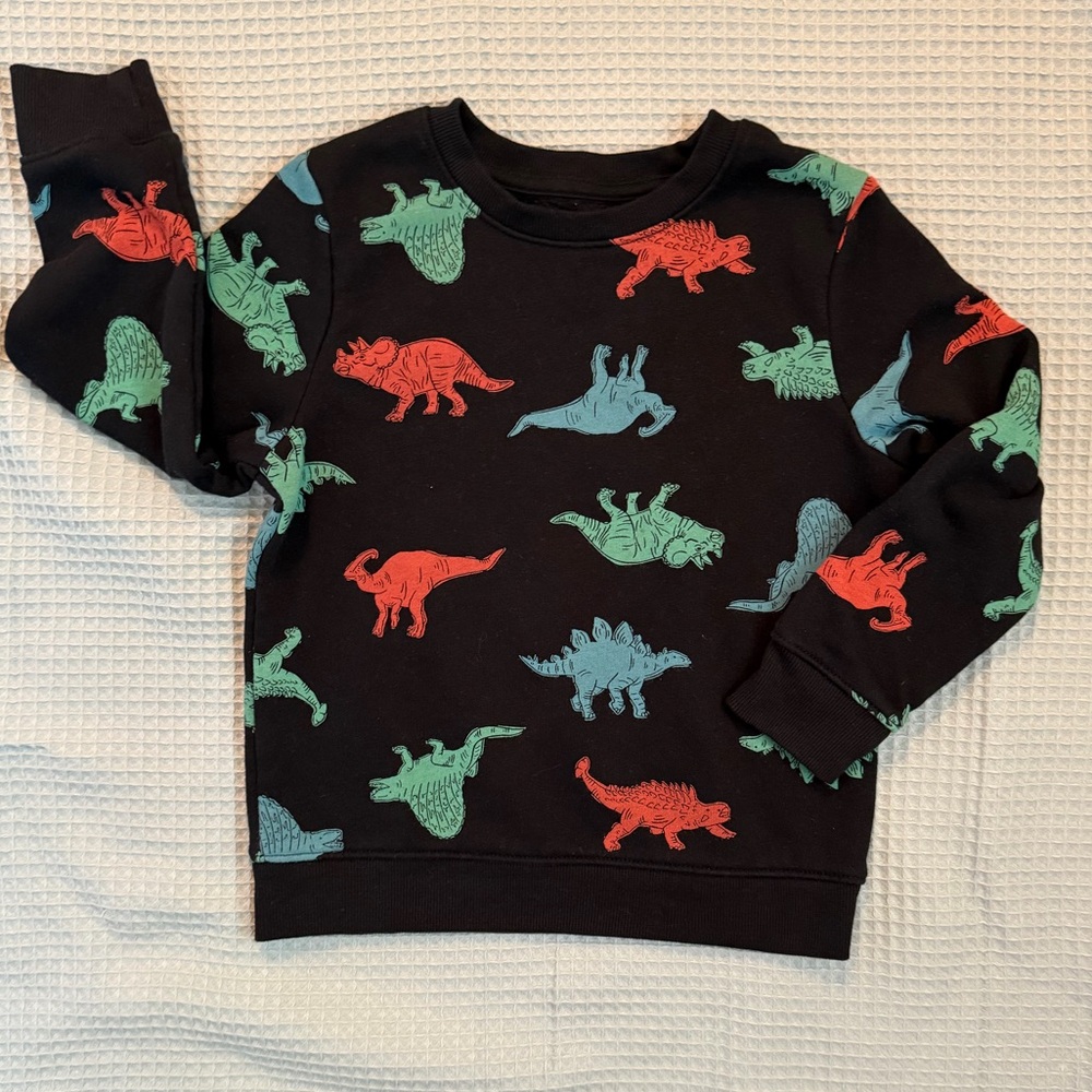 Cat & Jack Dinosaur Print Sweatshirt - Black, Red, Green